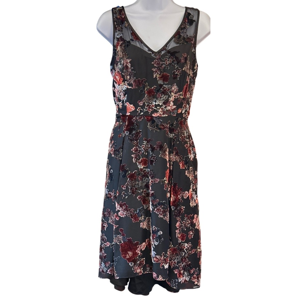 White House Black Market Burnout Velvet Dress Dark Romance Gothic Floral
